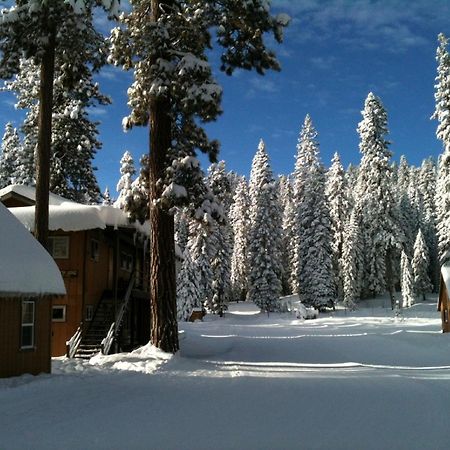 Montecito Sequoia Lodge Wilsonia المظهر الخارجي الصورة
