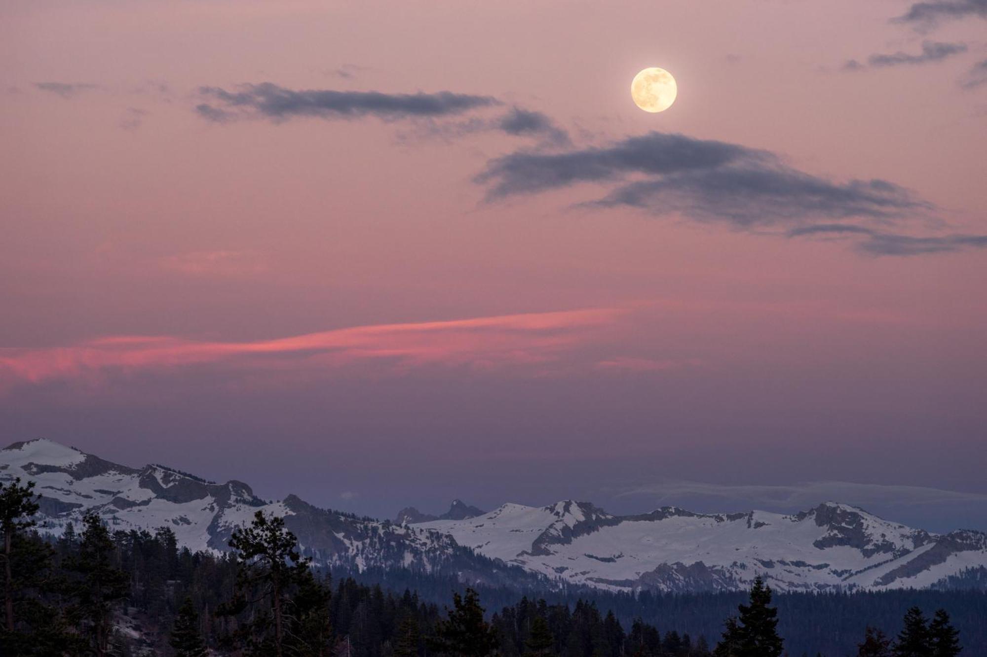 Montecito Sequoia Lodge Wilsonia المظهر الخارجي الصورة