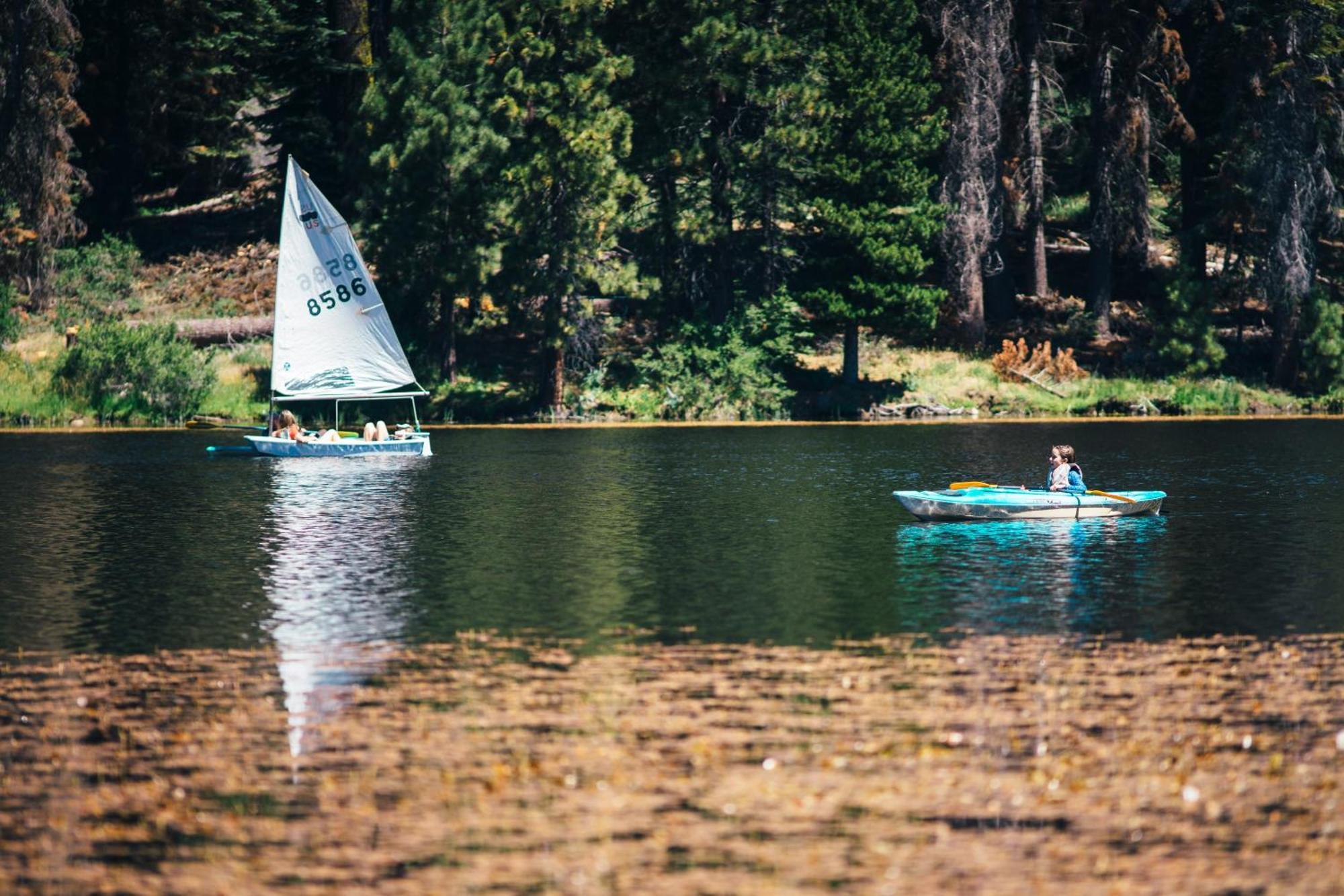 Montecito Sequoia Lodge Wilsonia المظهر الخارجي الصورة