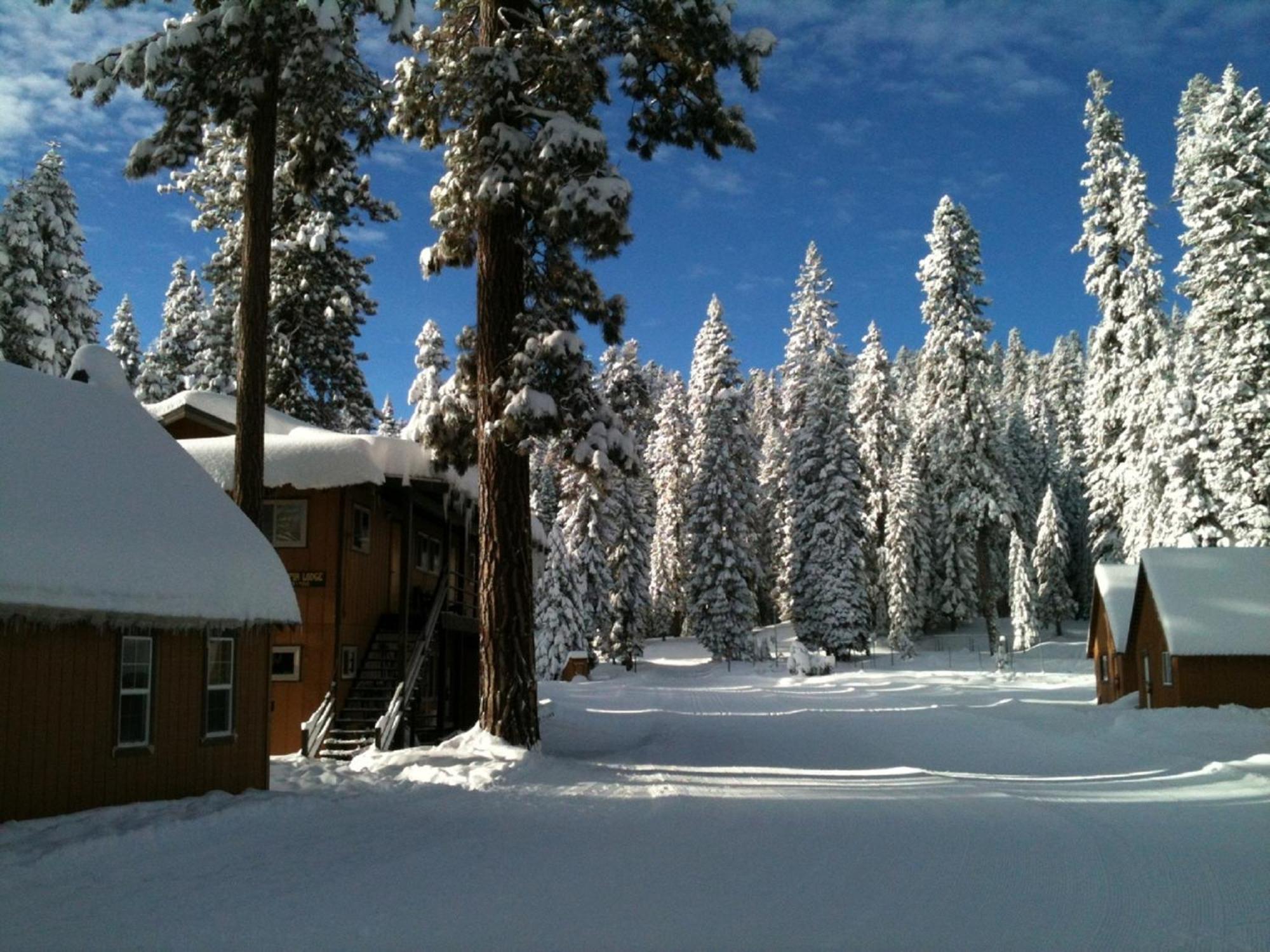 Montecito Sequoia Lodge Wilsonia المظهر الخارجي الصورة
