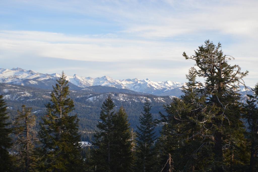 Montecito Sequoia Lodge Wilsonia المظهر الخارجي الصورة