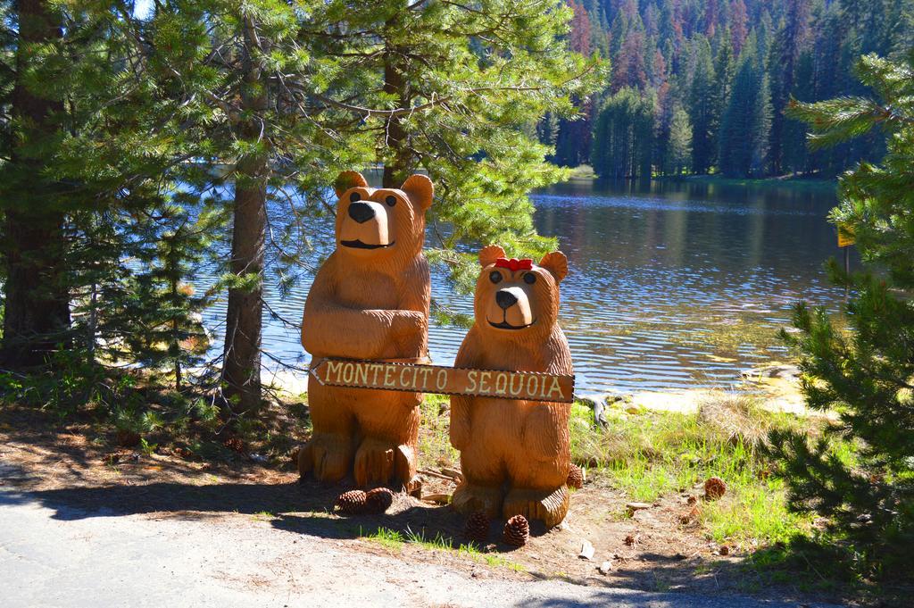 Montecito Sequoia Lodge Wilsonia المظهر الخارجي الصورة