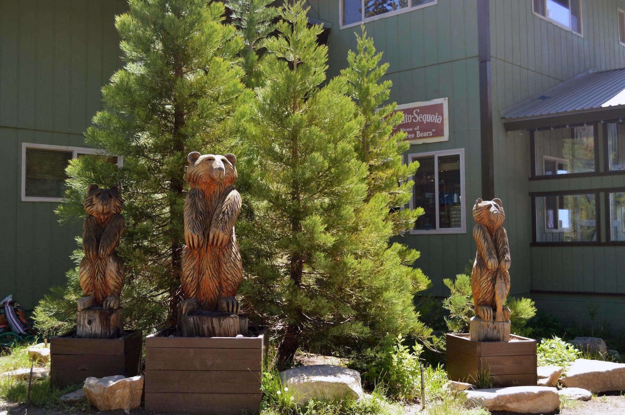 Montecito Sequoia Lodge Wilsonia المظهر الخارجي الصورة